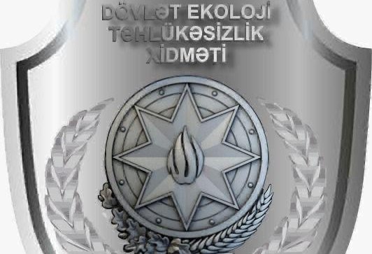 Bakıda ağacların qanunsuz kəsilməsi nəticəsində təbiətə 117 min manatdan çox ziyan dəyib