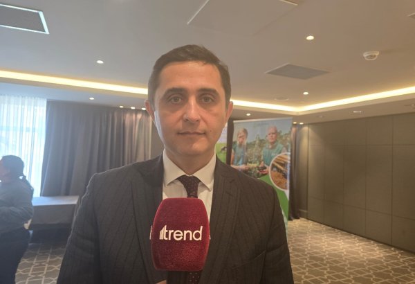 Bu il Aqrar Sığorta Fondunun investisiya istiqamətləri 22-23 milyon manat civarındadır - Fuad Sadıqov