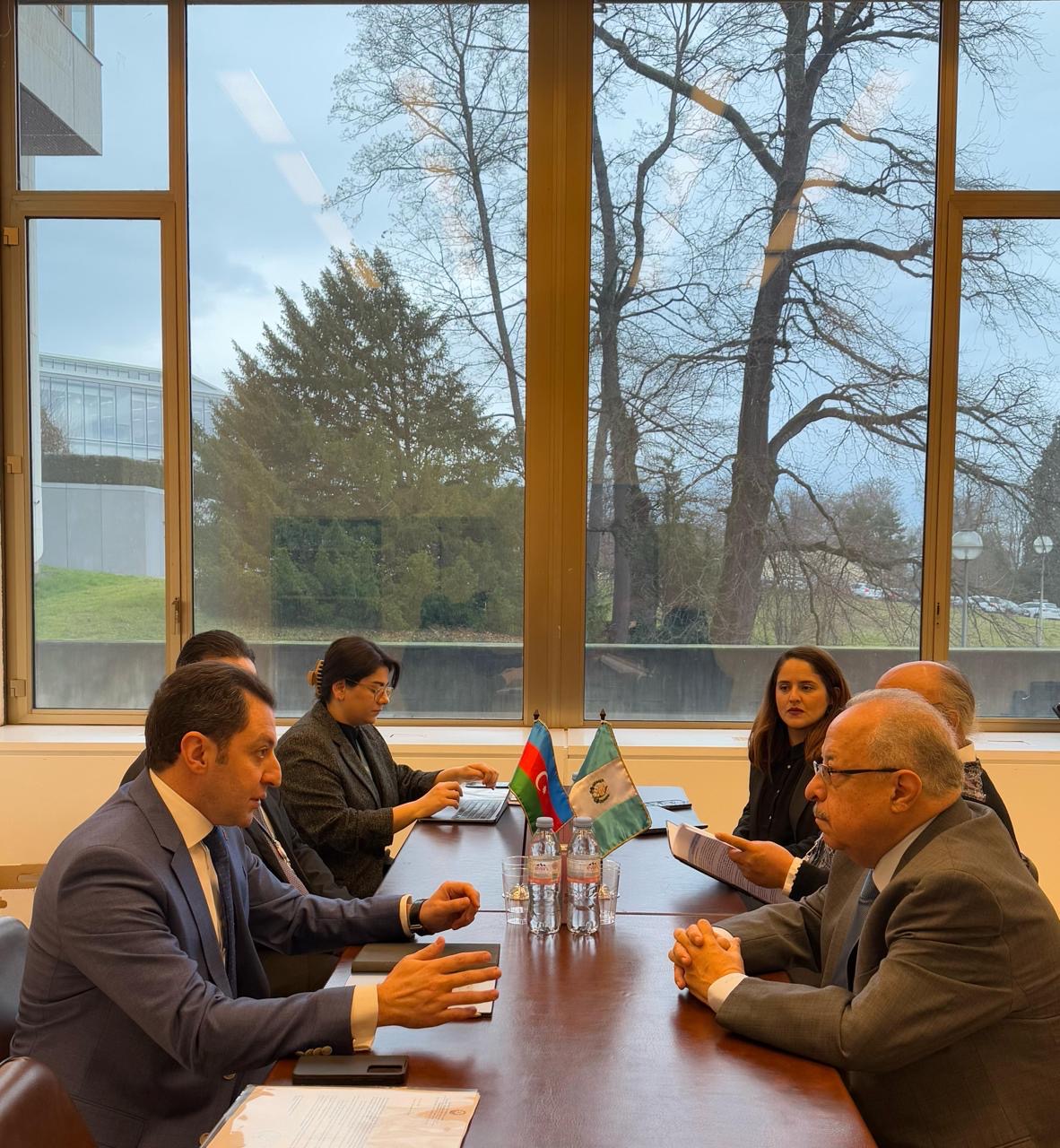 XİN başçısının müavini Cenevrədə “Böyük Qayıdış” çərçivəsində görülən işlərdən bəhs edib (FOTO)