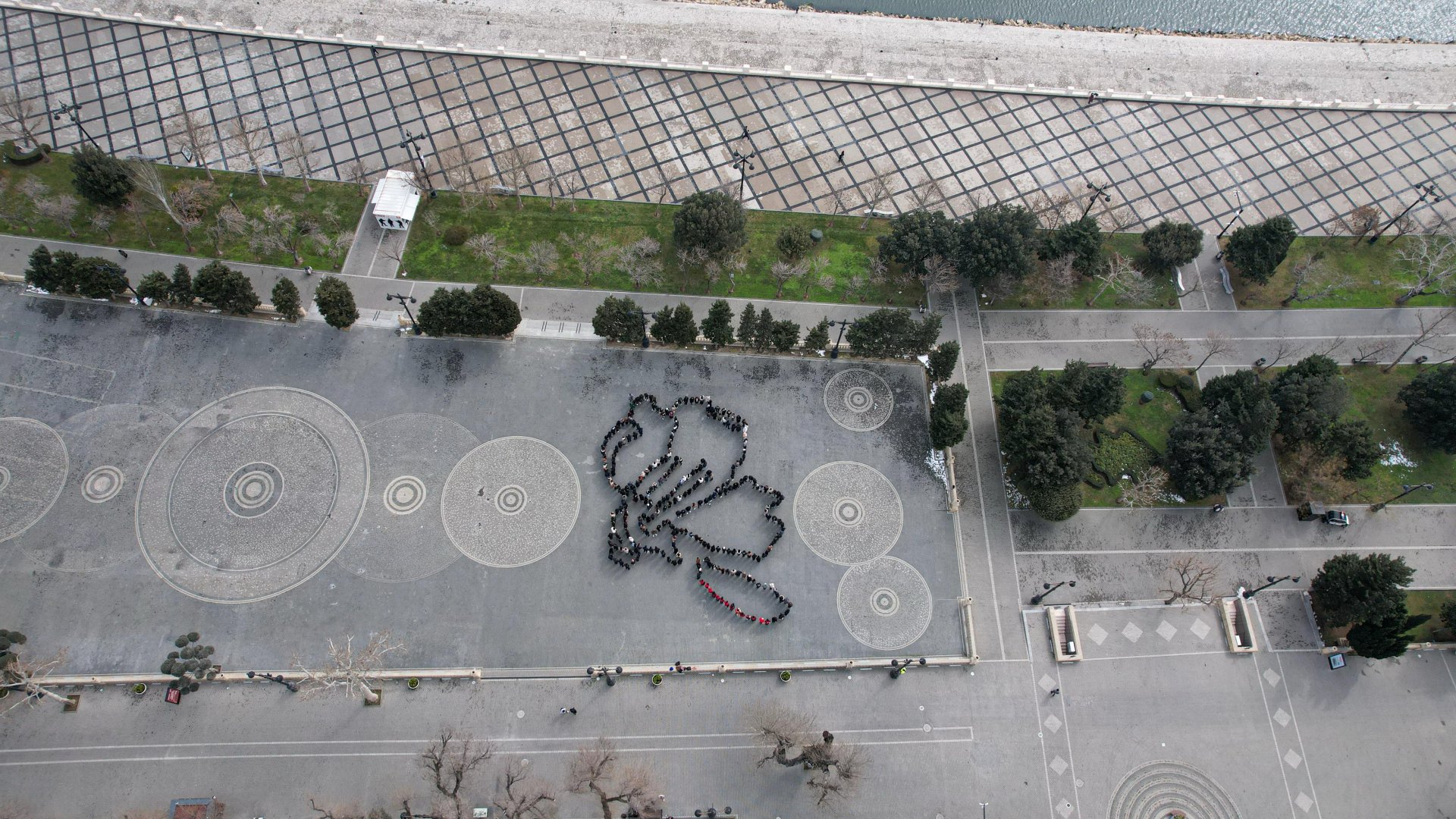 Azərbaycan könüllülərinin iştirakı ilə “Xocalı 33 il” fləşmobu keçirilib (FOTO)