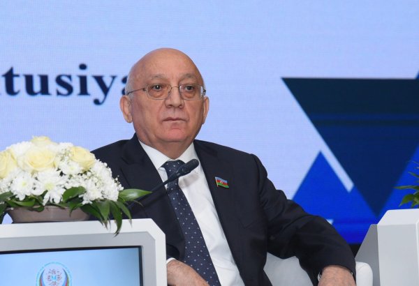 Kişi qadını işləməyə qoymursa, onun maaşından qadının pensiya təminatı formalaşdırılmalıdır - Deputat
