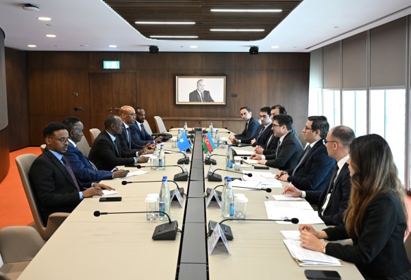 Azərbaycan və Somali enerji sahəsində potensial tərəfdaşlıq imkanlarını dəyərləndirib