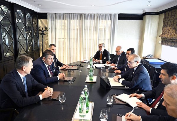 Xorvatiya şirkəti ilə Azərbaycan arasında əməkdaşlıq potensialı müzakirə edilib (FOTO)