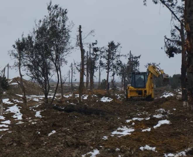 Tikinti altına düşən yaşıllıqların köçürülməsinə başlanılıb (FOTO)