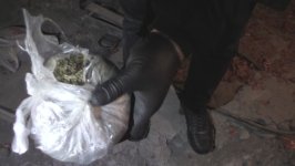 Oğuzda narkotik alverçiləri tutulub (FOTO/VİDEO)