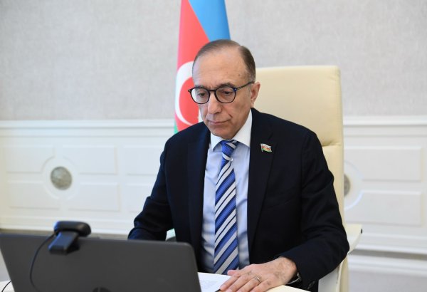 Nizami Səfərov neokolonializmin müasir təzahürləri ilə mübarizəyə dair iclasda iştirak edib (FOTO)