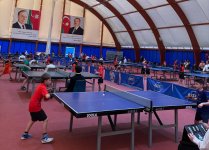 Stolüstü tennis üzrə respublika turniri başa çatıb (FOTO)