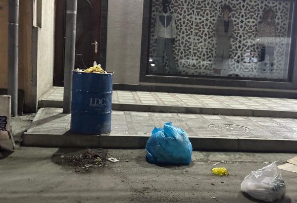 Ağdaşda tullantıların kənara atılması və ağackəsmə halları aşkar edilib (FOTO)