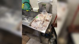 Paytaxtdakı restoranlardan birində istehlaka yararsız məhsullar aşkarlandı (FOTO)