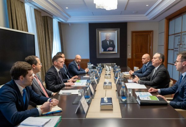 Avrasiya İnkişaf Bankı Azərbaycanda müxtəlif sahələr üzrə layihələri maliyyələşdirə bilər - Nikolay Podquzov (FOTO)