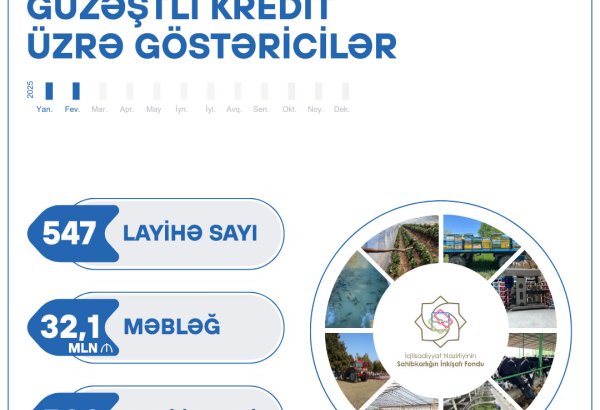 İki ayda Azərbaycanda 547 layihəyə 32,1 milyon manat güzəştli kredit verilib