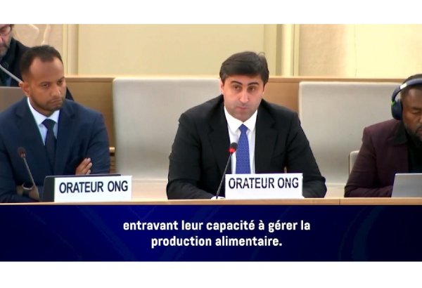 BTQ-nin İcraçı direktoru BMT-də müstəmləkəçilik siyasətinin yerli əhalilərin ərzaq təhlükəsizliyinə təsirlərindən danışıb (VİDEO)