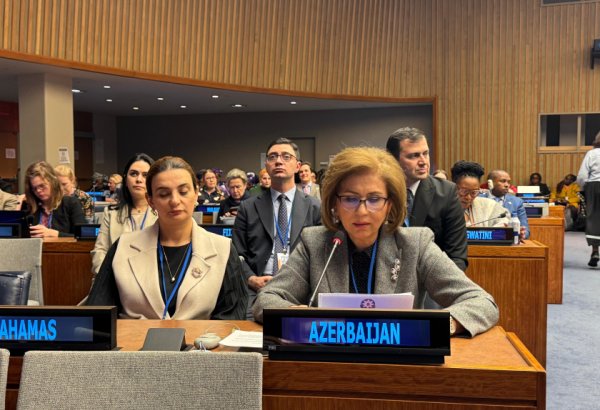 Son otuz ildə dünya gender bərabərliyi sahəsində böyük irəliləyiş əldə edilib - Bahar Muradova (FOTO)