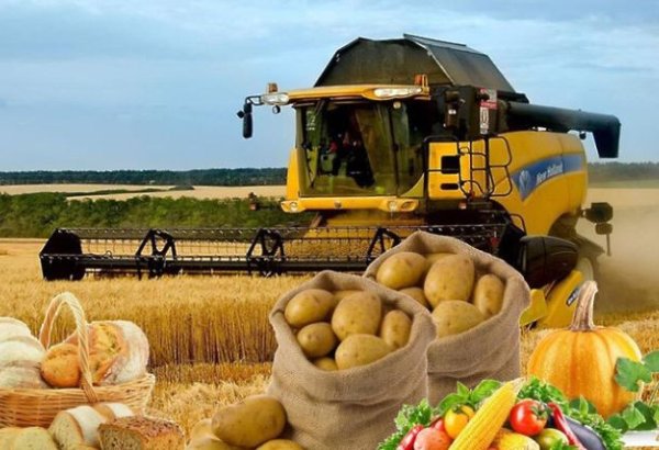 Ötən il kənd təsərrüfatı məhsullarının istehsalı artıb