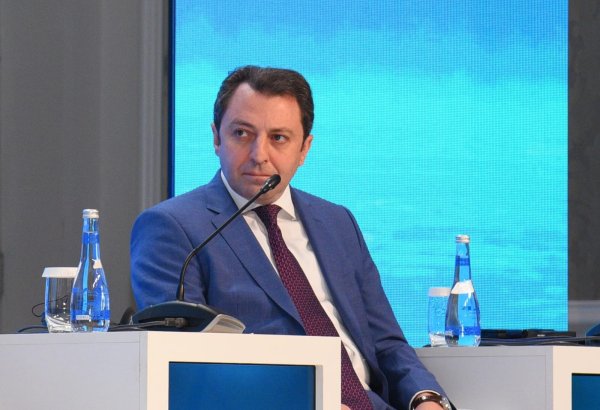 Ölkələr müstəqil qərarlar qəbul etmək imkanı əldə etmək üçün dayanıqlı iqtisadiyyata sahib olmalıdırlar - Elnur Məmmədov