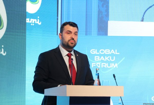 Qlobal Bakı Forumunda “Yeni dünya düzənində orta güclər” mövzusunda panel iclası keçirilib (FOTO) (ƏLAVƏ OLUNUB)