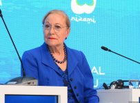 Qlobal Bakı Forumunda “Yeni dünya düzənində orta güclər” mövzusunda panel iclası keçirilib (FOTO) (ƏLAVƏ OLUNUB)