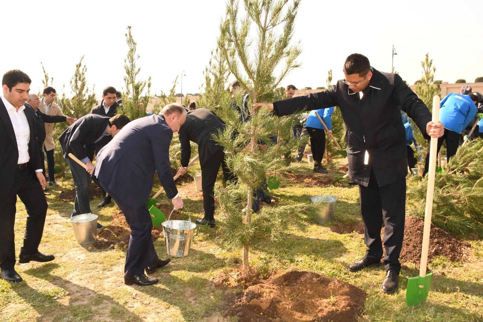 Bakıda növbəti ağacəkmə aksiyası və iməcilik keçirilib