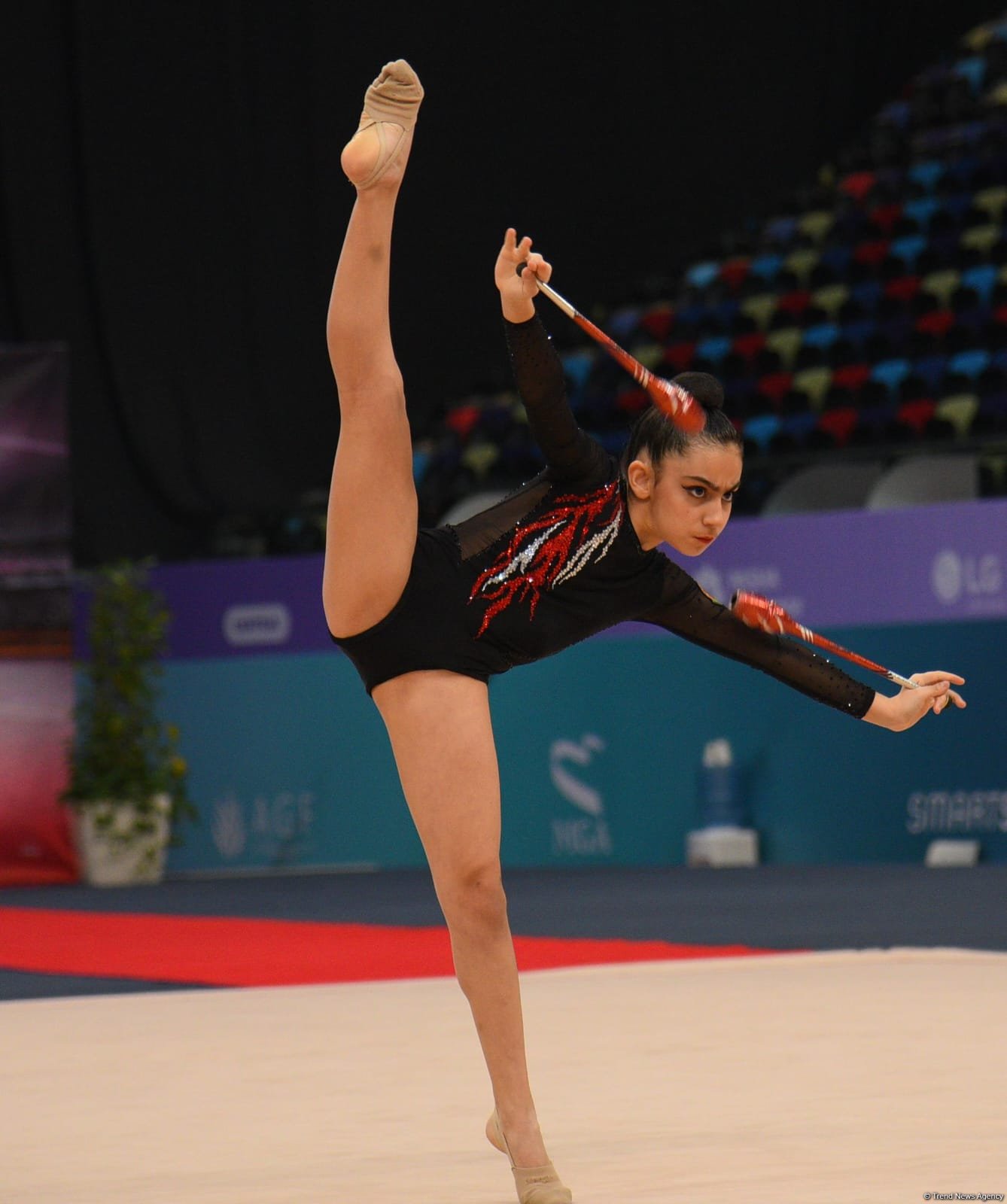 Bakıda bədii gimnastika üzrə 30-cu ölkə çempionatı keçirilir (FOTO)