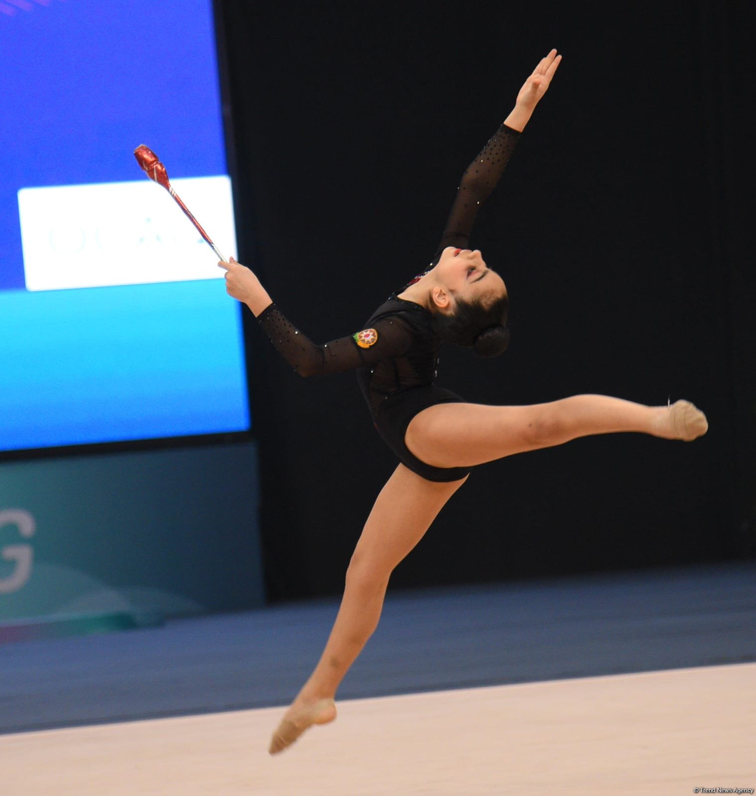 Bakıda bədii gimnastika üzrə 30-cu ölkə çempionatı keçirilir (FOTO)