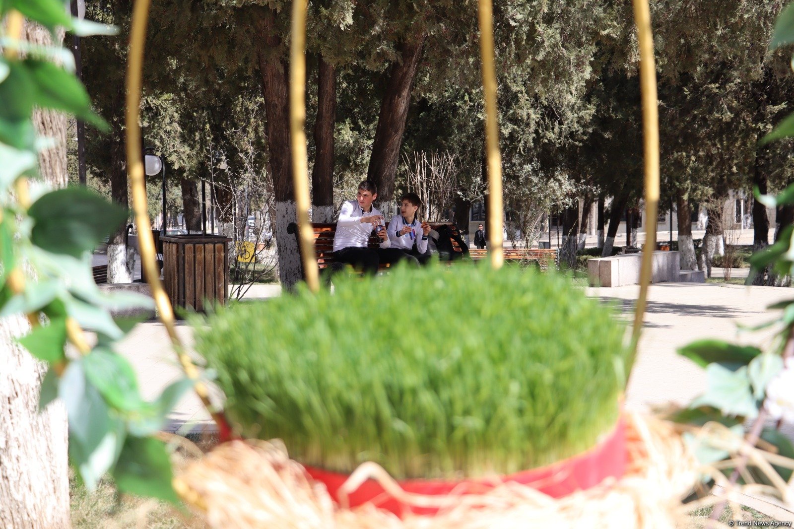 Azad Xankəndi və Xocalı Novruza hazırlaşır (FOTO)