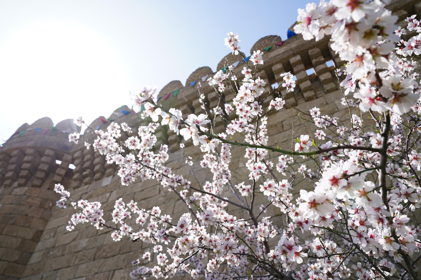 Qala qoruğunda “Bahar Sədası” Novruz şənliyi keçirilib (FOTO)