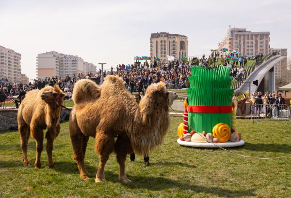 Bu gün Beynəlxalq Novruz Günüdür