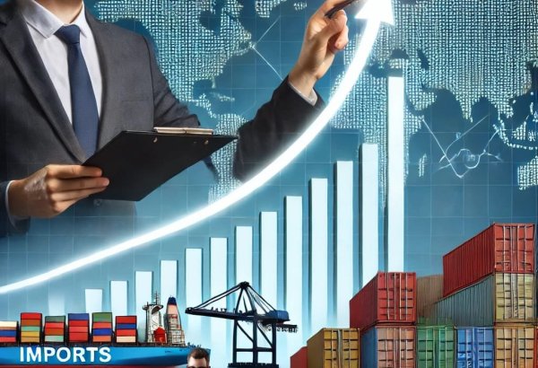 Fiziki şəxslər iki ayda 350 milyon dollarlıq məhsul idxal edib