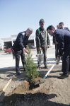 Xaçmazda “Konstitusiya və Suverenlik İli” çərçivəsində  ağacəkmə aksiyası keçirilib (FOTO)