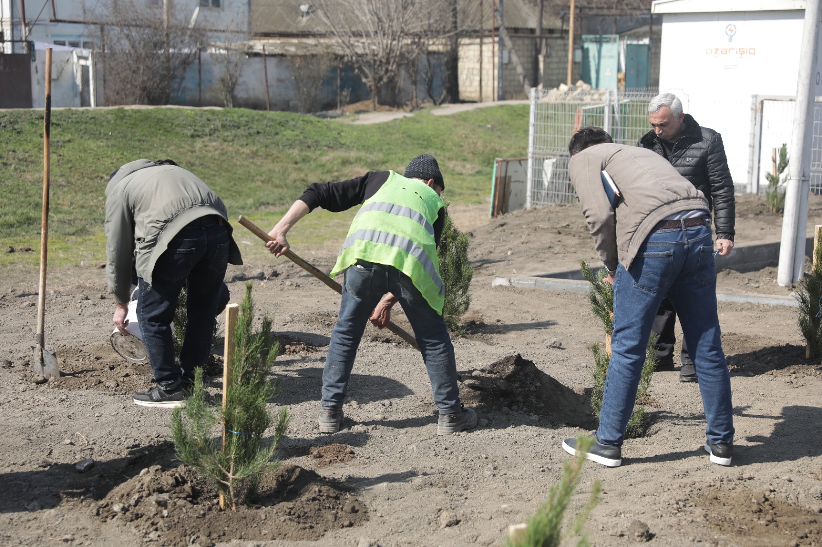 Xaçmazda “Konstitusiya və Suverenlik İli” çərçivəsində  ağacəkmə aksiyası keçirilib (FOTO)