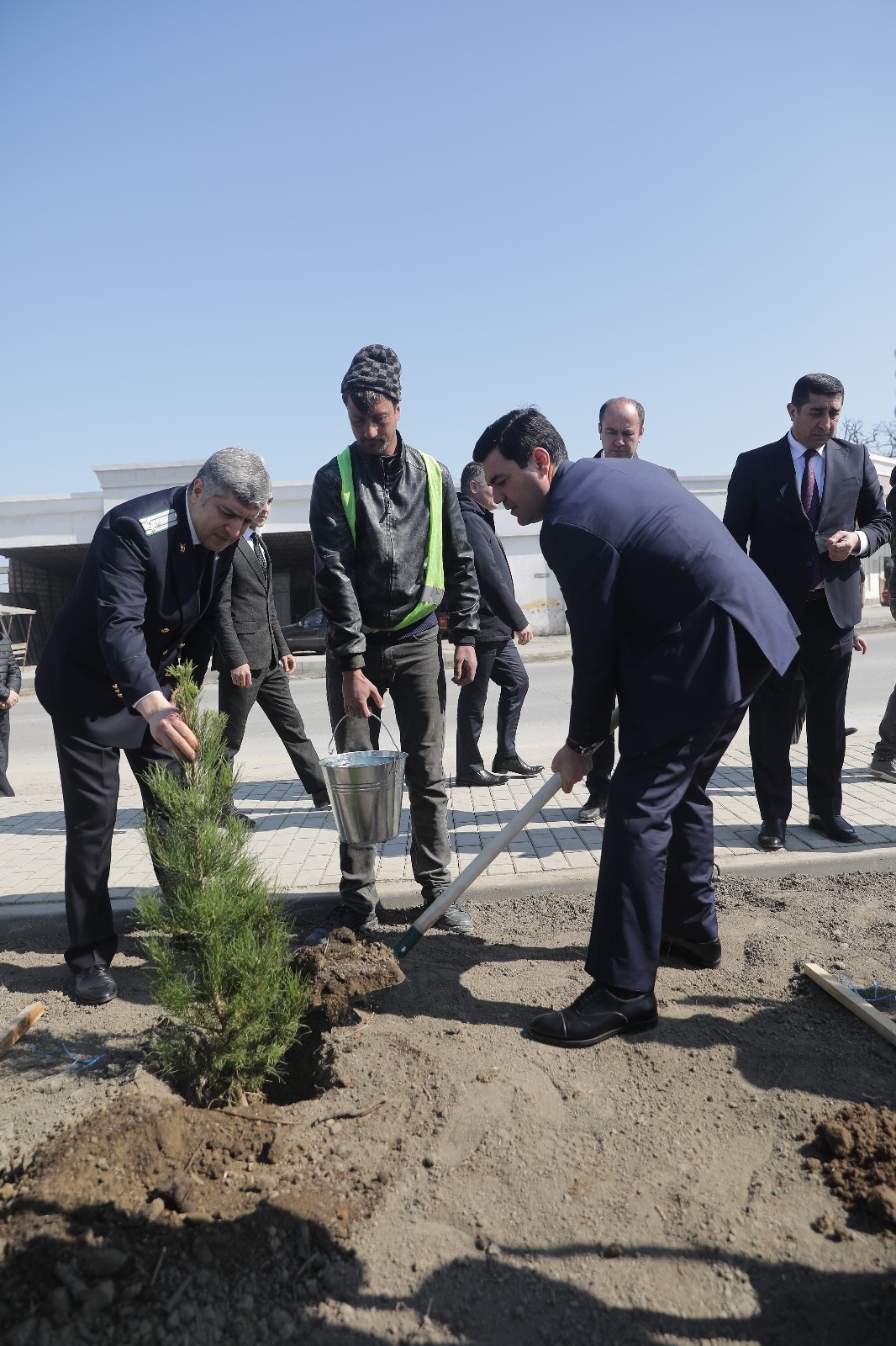 Xaçmazda “Konstitusiya və Suverenlik İli” çərçivəsində  ağacəkmə aksiyası keçirilib (FOTO)