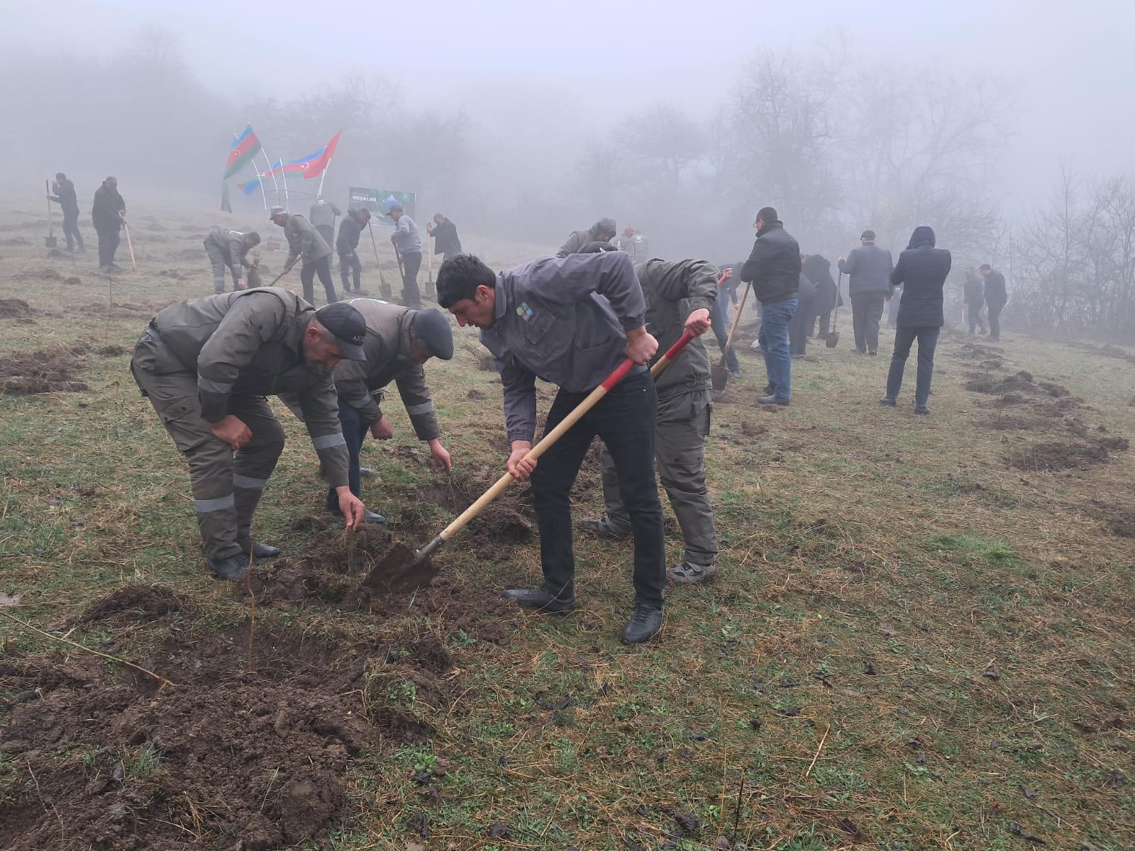 Azərbaycanda bir gündə 13 mindən artıq ağac əkildi (FOTO)