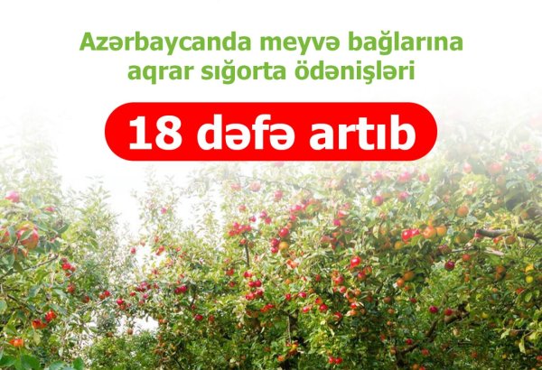 Azərbaycanda meyvə bağlarına aqrar sığorta ödənişləri 18 dəfə artıb