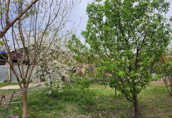 Yenidən qurulan Cocuq Mərcanlı kəndindən FOTOREPORTAJ