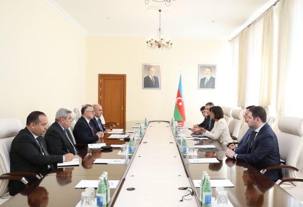 Səhiyyə Nazirliyində “GE Healthcare” şirkətinin regional direktoru ilə qarşılıqlı əməkdaşlıq üçün potensial imkanlar müzakirə edilib (FOTO)
