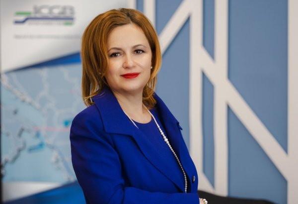 IGB-a investisiyalar üçün Avropa İttifaqından daha aydın dəstək mexanizmləri tələb olunur -  İcraçı direktor