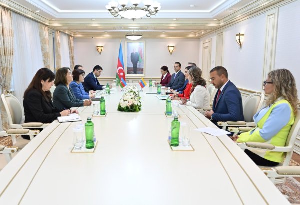 Azərbaycan və Venesuelanın beynəlxalq təşkilatlar çərçivəsində səmərəli əməkdaşlığı müzakirə edilib (FOTO)