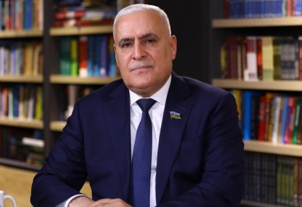 Azərbaycan Almaniya üçün strateji əhəmiyyət kəsb edən ölkədir - Vüqar Rəhimzadə