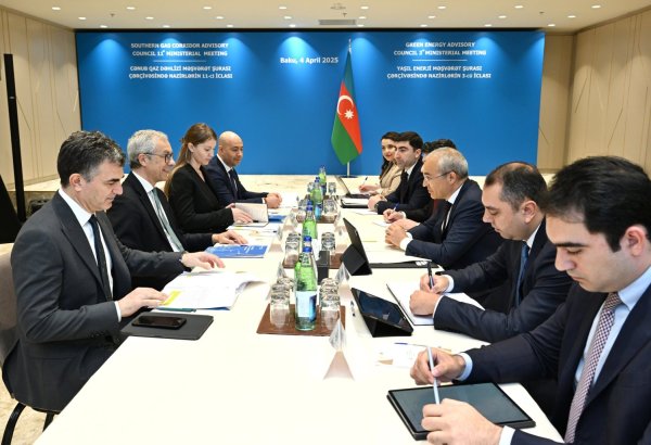 Azərbaycan “ACWA Power”lə dəniz suyunun duzsuzlaşdırılmasını müzakirə edib (FOTO)