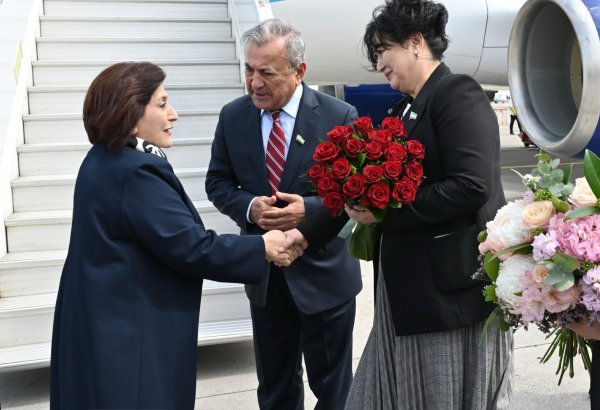 Sahibə Qafarova Özbəkistana işgüzar səfərə gedib (FOTO)