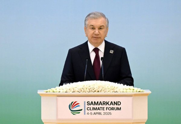 Özbəkistan Prezidenti Bakı sammitində türk dövlətləri arasında strateji tərəfdaşlıq haqda sazişin imzalanmasını təklif edib