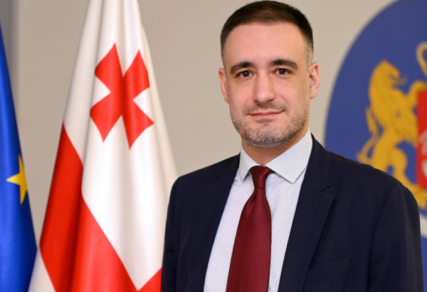 Qara dəniz sualtı enerji kabeli layihəsi həyata keçirdiyimiz birgə fəaliyyətlərə çox yaxşı nümunədir - Gürcüstanlı nazir müavini