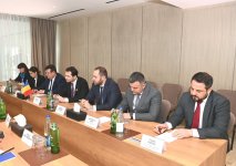 SOCAR ilə Rumıniya arasında təbii qaz təchizatı məsələləri müzakirə edilib (FOTO)