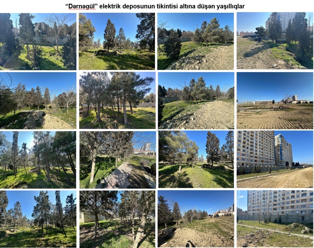 "Dərnəgül"dəki yeni metro deposunun ətrafında 1000-ə yaxın ağac əkiləcək (FOTO)