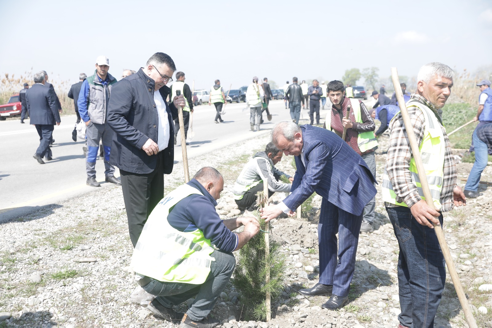 Xaçmazda ağacəkmə aksiyası keçirilib (FOTO)