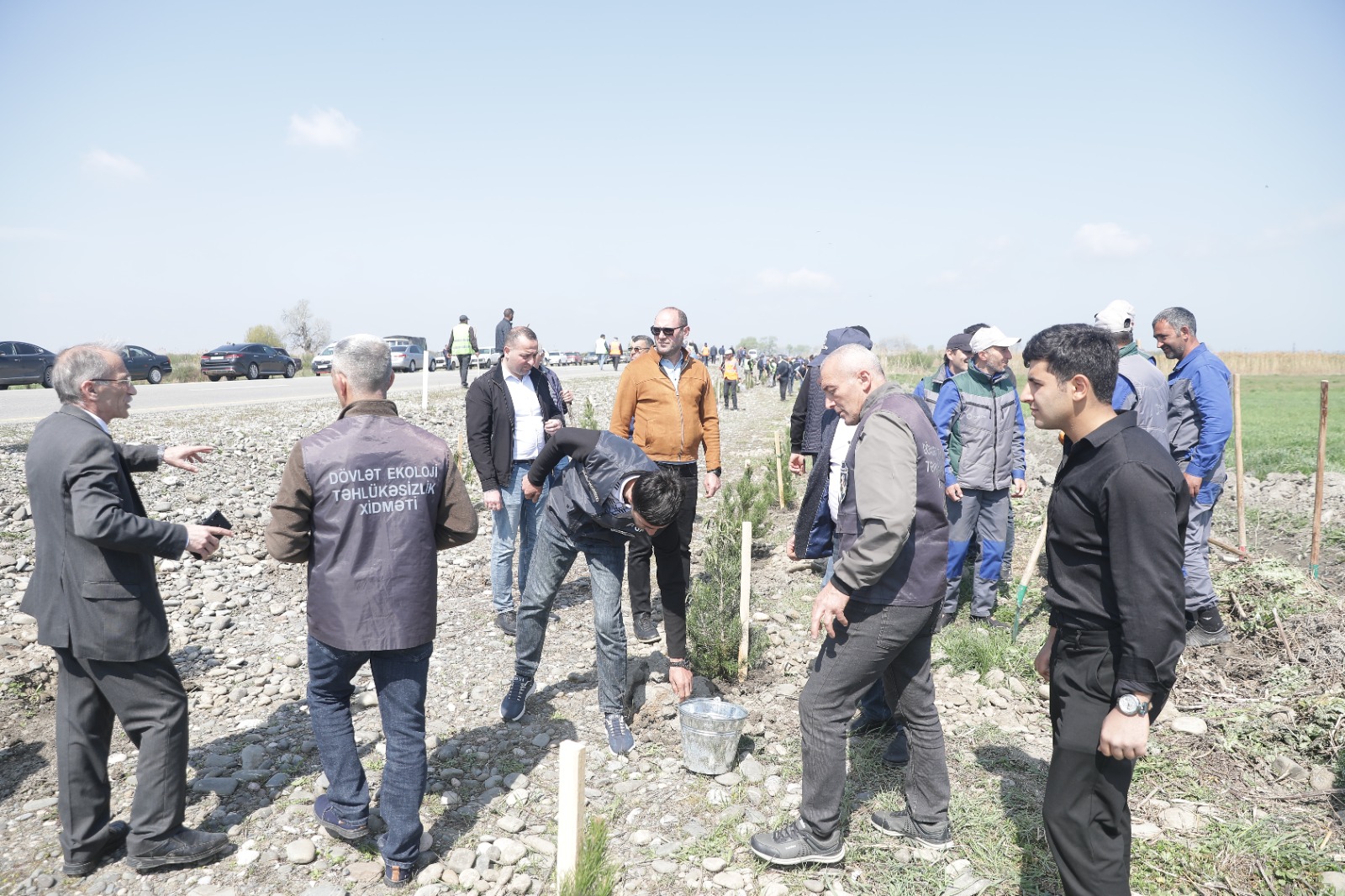 Xaçmazda ağacəkmə aksiyası keçirilib (FOTO)