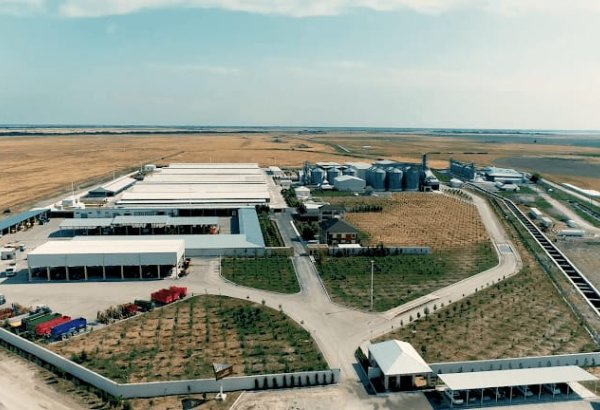 Ağsu Aqroparkında Niderland, ABŞ və İsrailin təcrübələrindən bəhrələnilir
