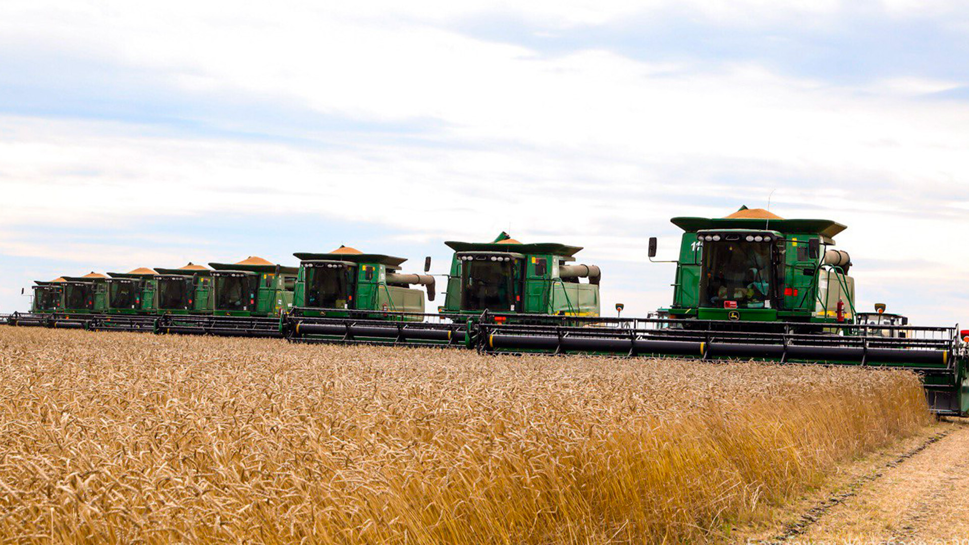Azərbaycanda qadın fermerlərin sayı açıqlanıb