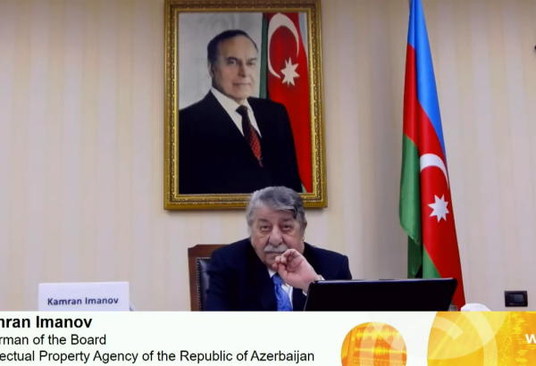 Kamran İmanov Ümumdünya Əqli Mülkiyyət Təşkilatının sessiyasında məruzə edib