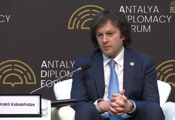 Cənubi Qafqaz qlobal dəyişikliklər fonunda xüsusi əhəmiyyət qazanır - Kobaxidze